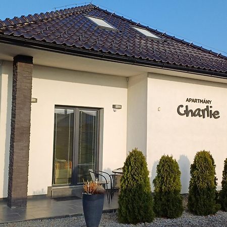 Apartmany Charlie Bešeňová Exterior foto